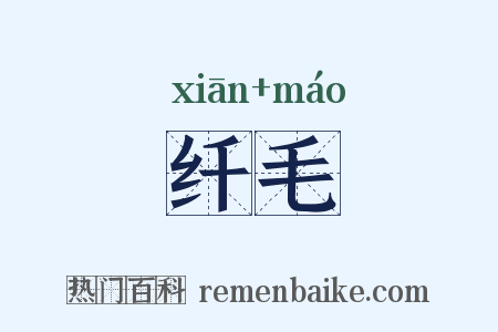 纤毛是什么意思的图片